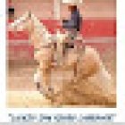 Lienzo Charro San Isidro Labrador