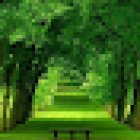 Yoga Juriquilla/Anahata Yoga