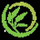 Pilates Evolution Wellness & Fisioterapia