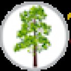 Pilates Vallarta Bucerias Nayarit