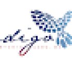 Indigo Pilates Studio