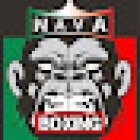 Nava Boxing