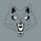 Next Gen Nutrition & Fitness