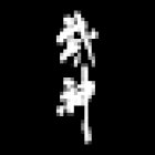 Bujinkan Mexico Yakumo Shin Ryu Dojo