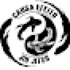 Causa Efeito Jiu Jitsu