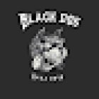 BLACK DOG / CASA DOJO