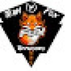 Moo Do Taekwondo Team Fox