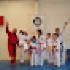 HWARANG TAEKWONDO LAS PERITAS