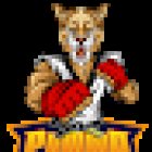 MMA BOX TAEKWONDO