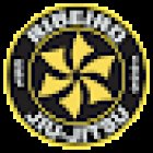 Ribeiro Jiu-jitsu León