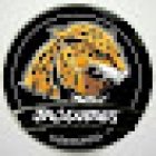 Taekwondo Jaguares A.C.