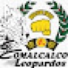 TAEKWONDO MDK LEOPARDOS
