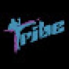 TRIBE GYM