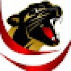 Team panthers México