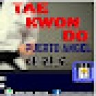 Instituto especializado en Taekwondo puerto ángel