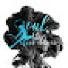 Academia Soul Steps Move Dance SJR