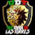 UNION DEPORTIVA DE TAEKWONDO LAS TORRES