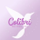 Colibrí - Pole Fitness Studio