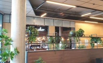 Rortunet Center