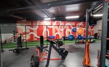 Fresh Fitness