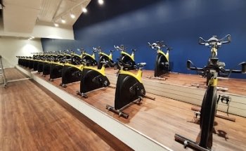 TIBIA Trening