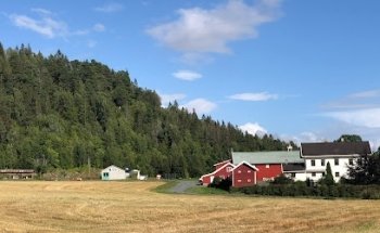 Stein Gård
