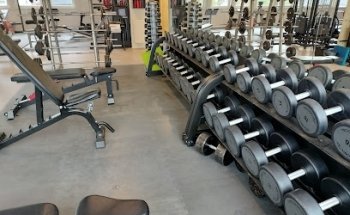 Stamina Rognan