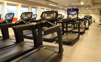 Fresh Fitness Hauketo