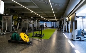 Gym City Moss