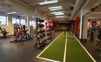 Fresh Fitness