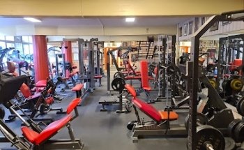 Harald's Gym