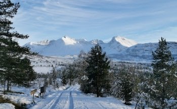 Vaksvikfjellet ski