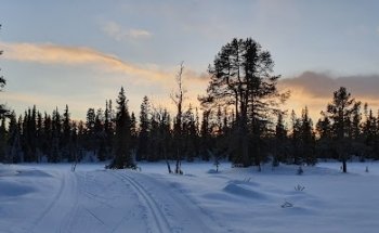 Solseter – skistadion og lysløyper