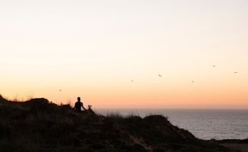 Oslo Hatha Yoga