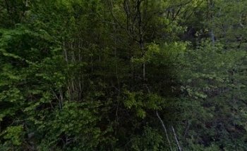 Kjerringsteinen