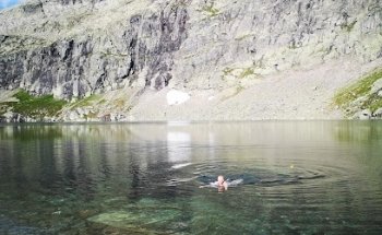 Tjørobytta