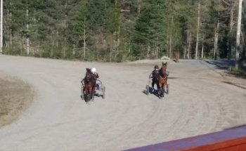 Jervskogen Travbane