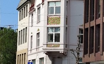 Ålesund Sirkeltrening