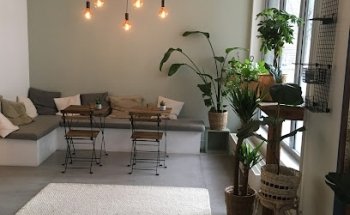 Elva Yoga Studio