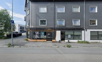 Bailine Narvik