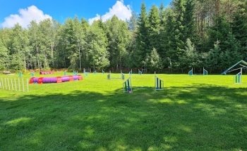 Agility instruktøren