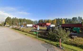 Sisu