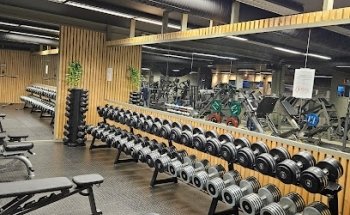Flex Heistad