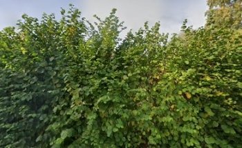 Outdoor Training. Bodyweight. Tufteparken