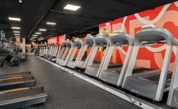 Fresh Fitness Carl Berner
