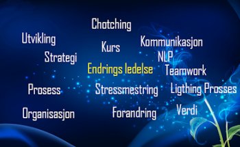 Endringsledelsenorge As
