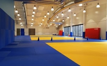 Stavanger Ju-Jitsu club