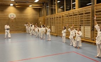 Romerike Kyokushin Karate klubb