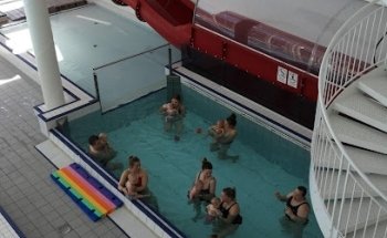 Frolandia swimming