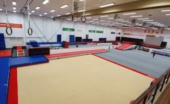 Orland Gymnastics